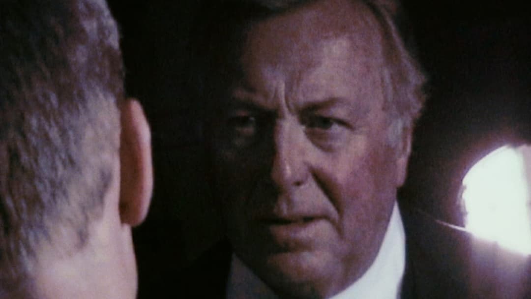 Свято backdrop 10