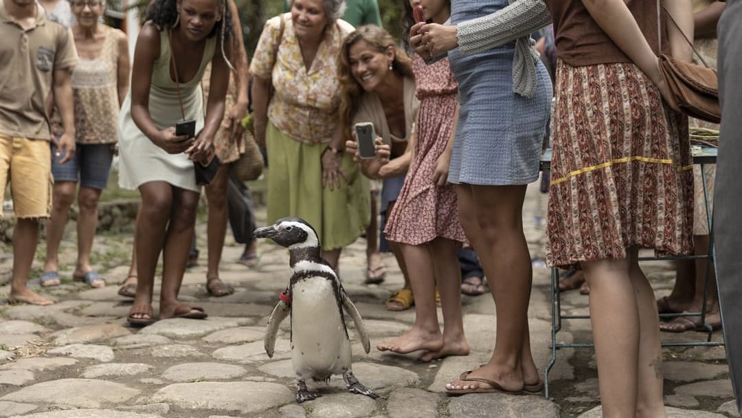 Мій друг пінгвін backdrop 10