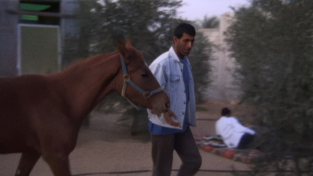 With Hasan in Gaza backdrop 8