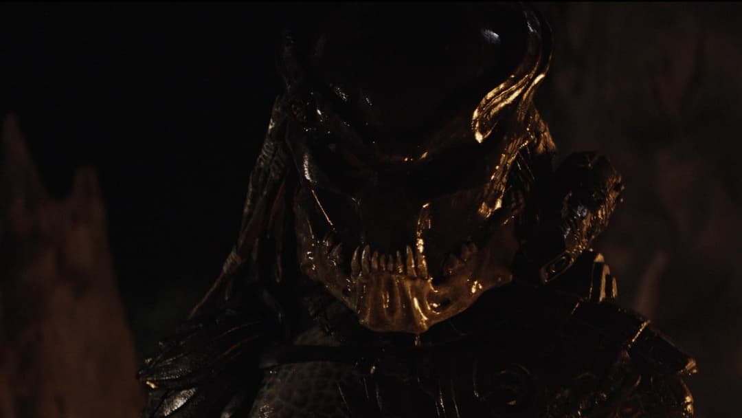 Хижаки backdrop 16