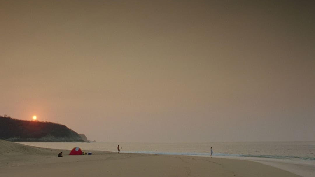 Y Tu Mama Tambien - Lust for Life backdrop 19