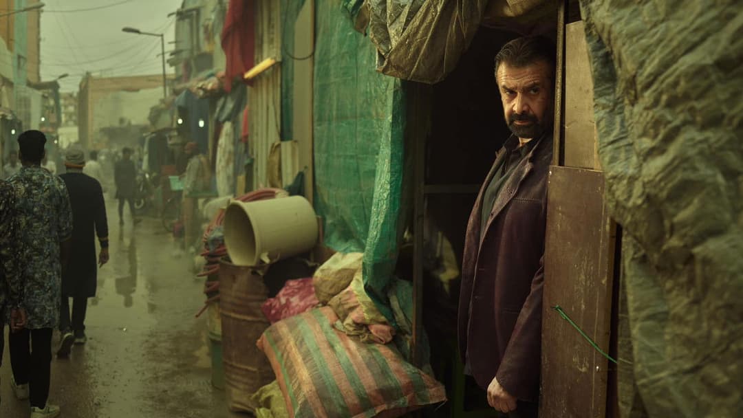 7 كلاب backdrop 2