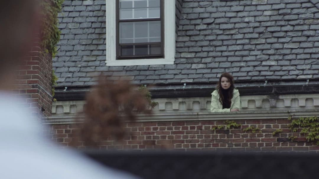 Vollblüter backdrop 6