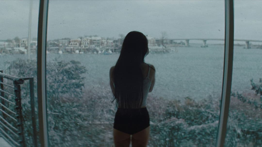 Анора backdrop 11