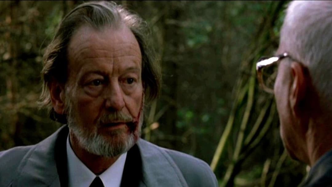 Евіленко backdrop 7