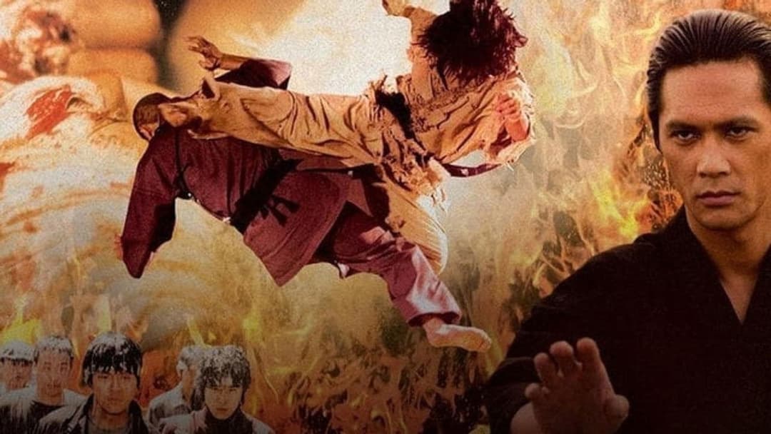 Fighter In The Wind backdrop 3