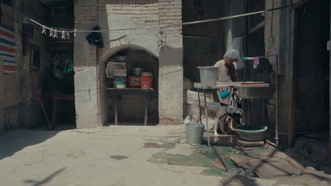 SWEET WATER backdrop 1