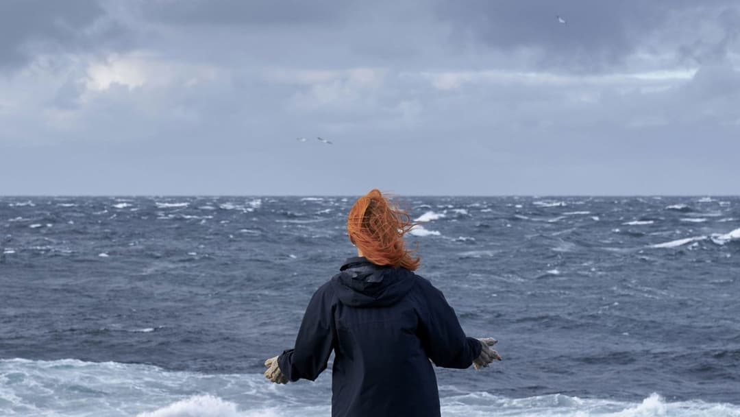 The Outrun backdrop 16