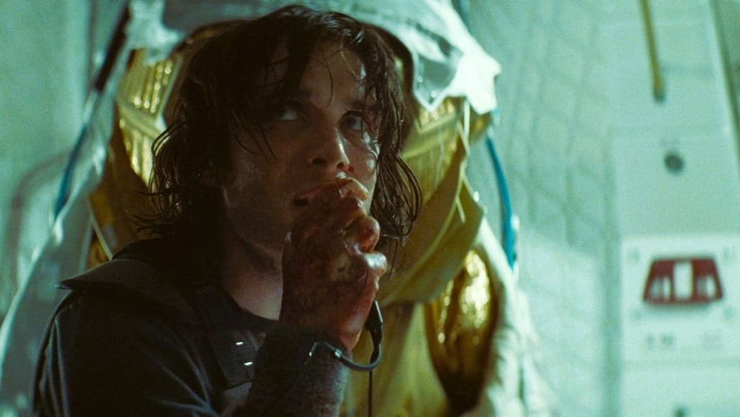 Sunshine backdrop 13