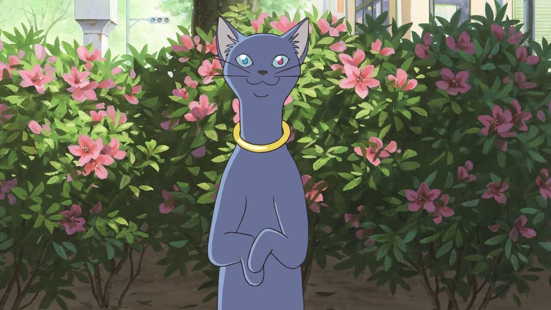 Котяча вдячність backdrop 19