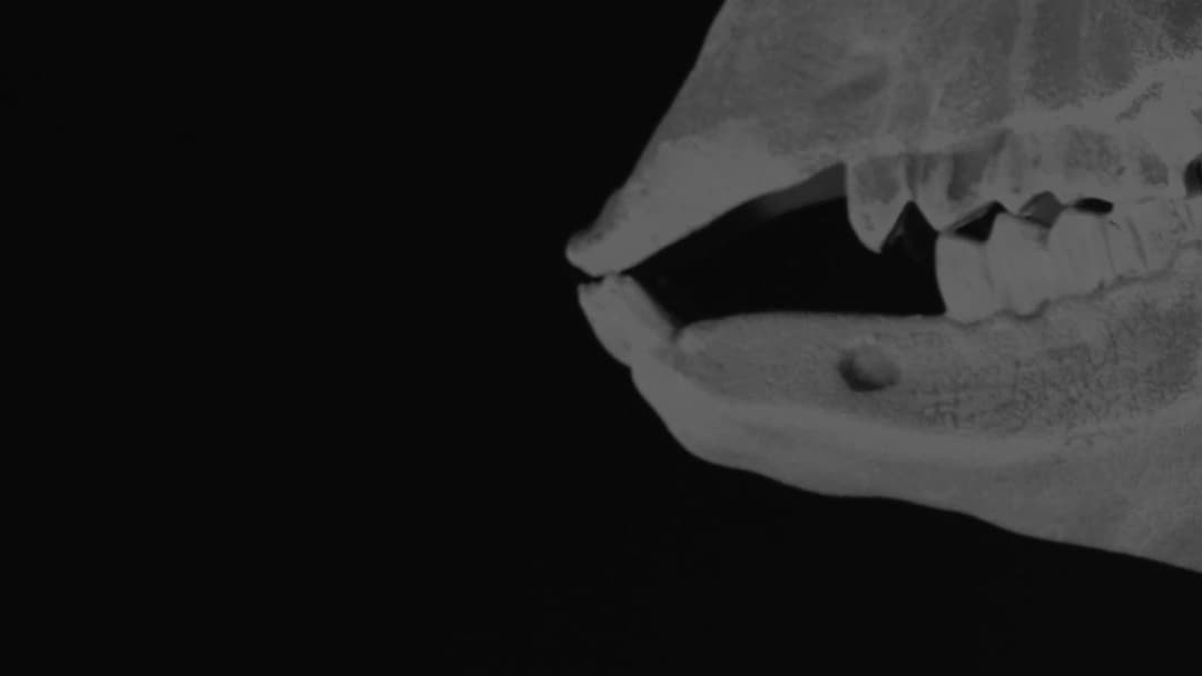 Ghost Buddies: The Gathering backdrop 2