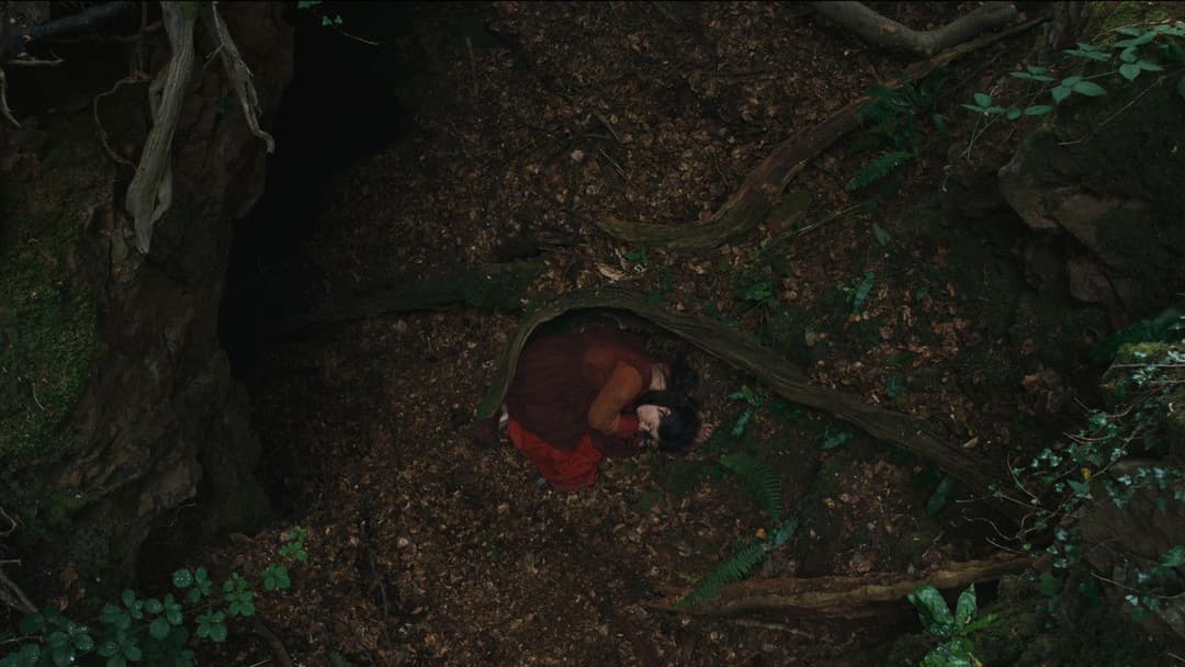 Гамнет backdrop 20