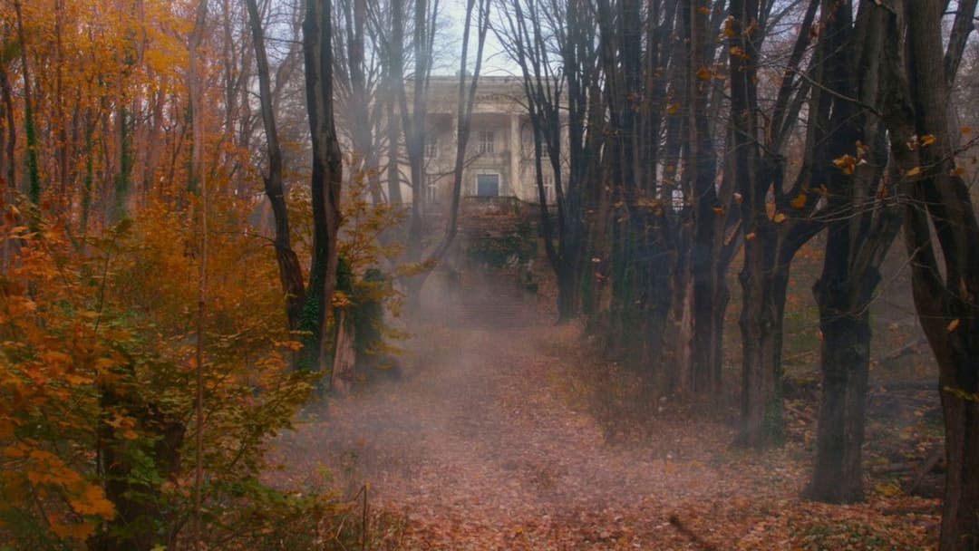 Greatest Showman backdrop 14