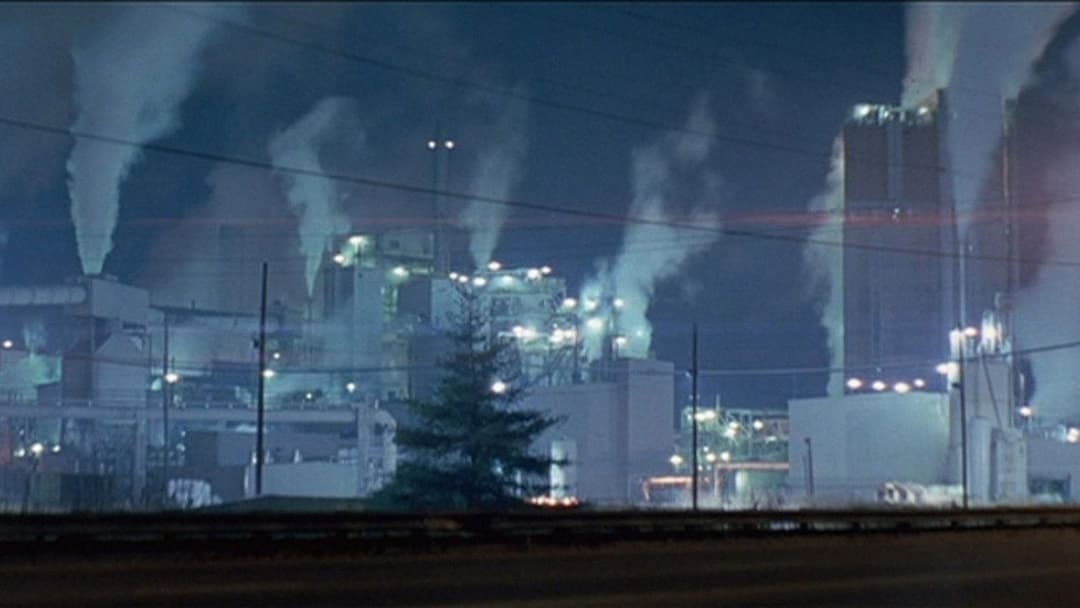 All the Real Girls backdrop 13