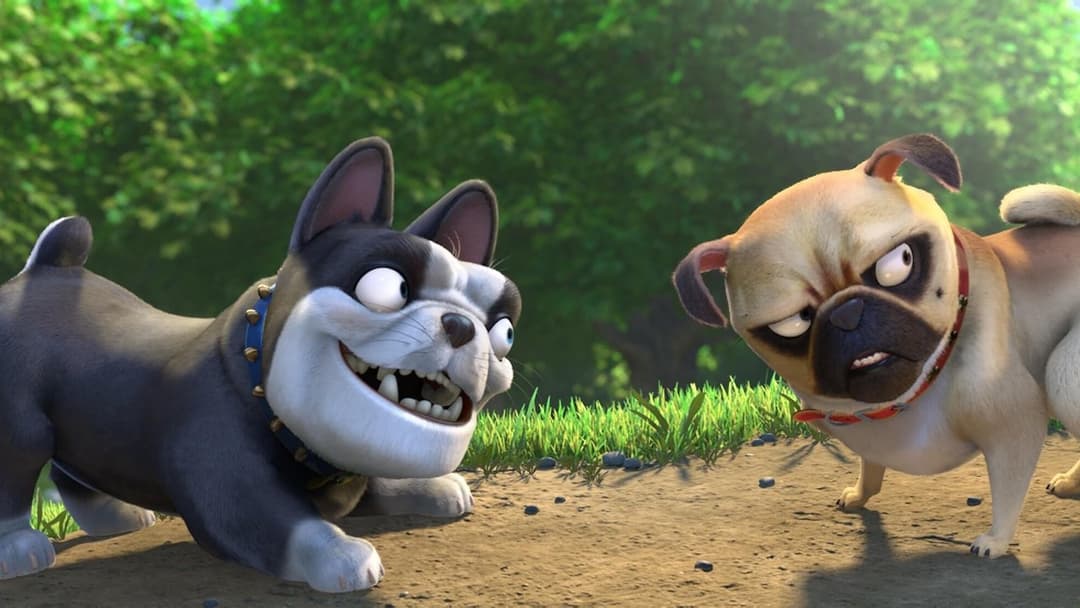 Реальна білка 2 backdrop 14