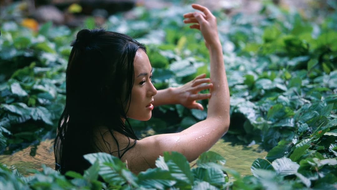 House of Flying Daggers backdrop 8