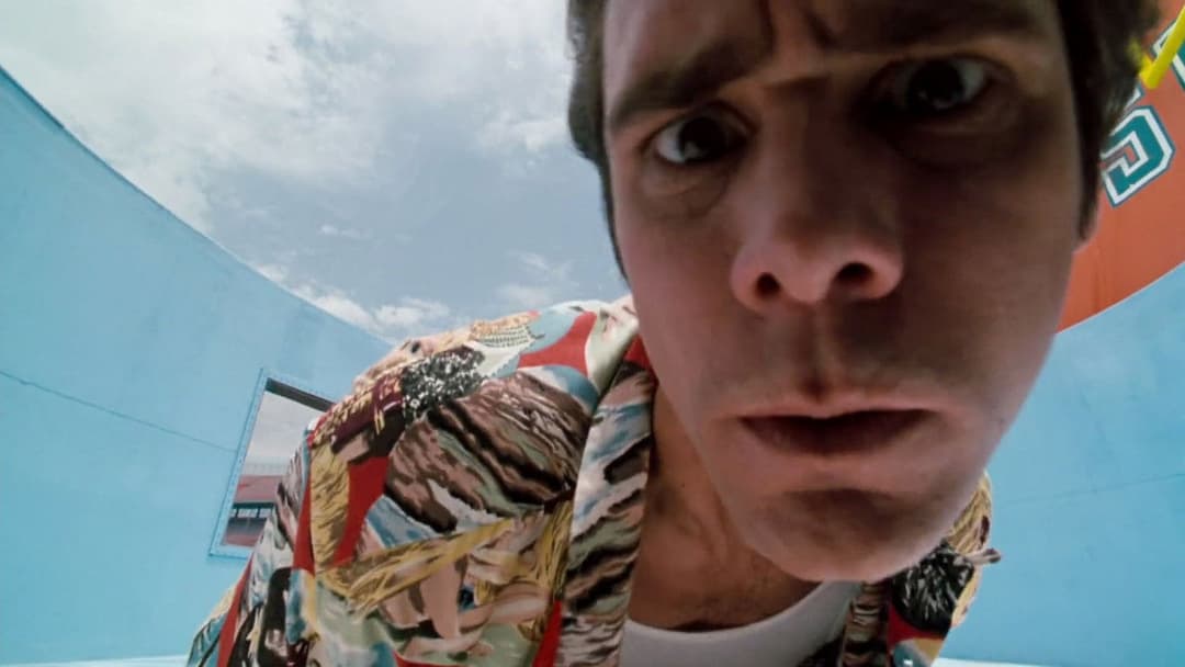 Ace Ventura - Ein tierischer Detektiv backdrop 14