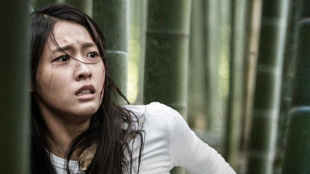 Щоденник зі спогадами вбивці backdrop 13