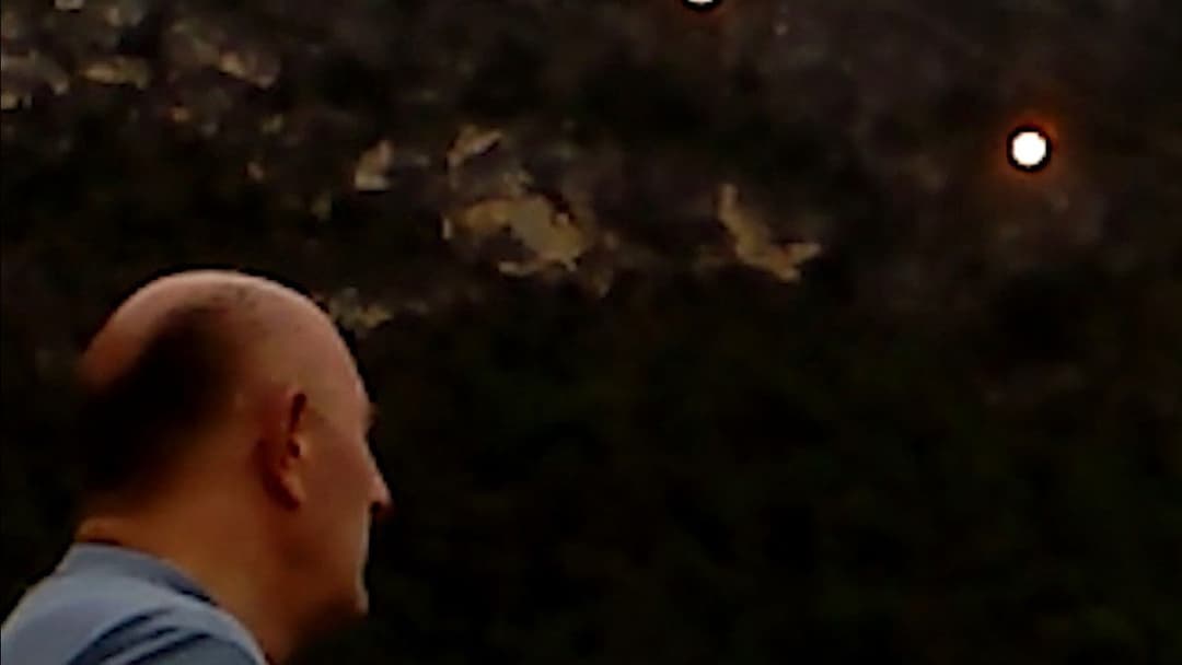 Dry Leaf backdrop 18