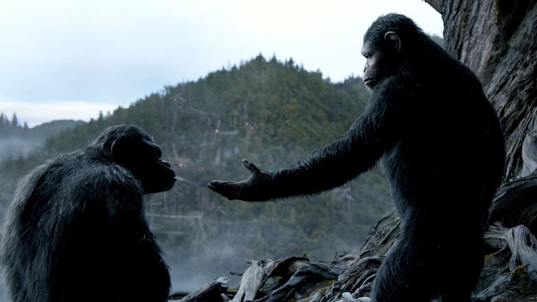 Світанок планети мавп backdrop 8