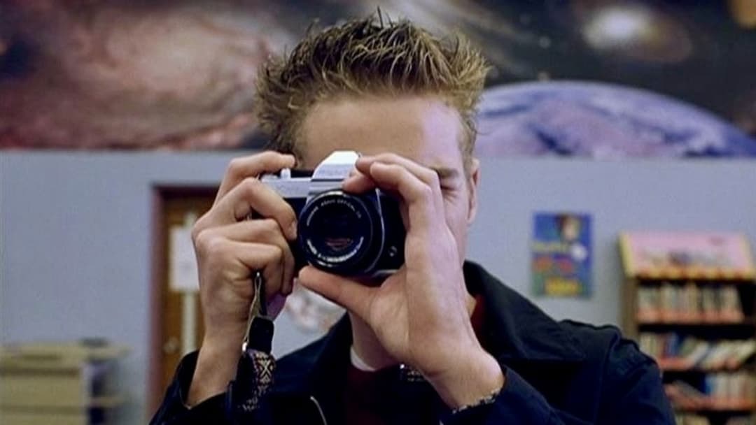 Elephant backdrop 16