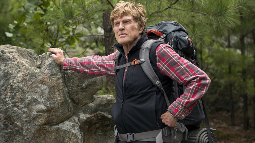 Picknick mit Bären backdrop 19