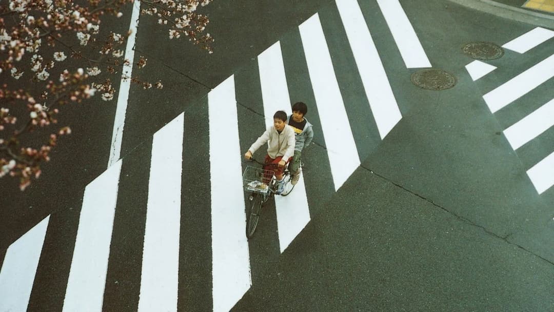 Nobody Knows backdrop 4