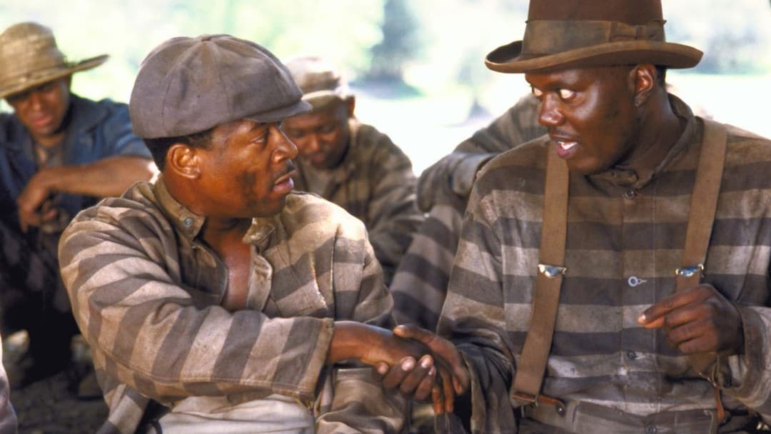 Життя backdrop 8