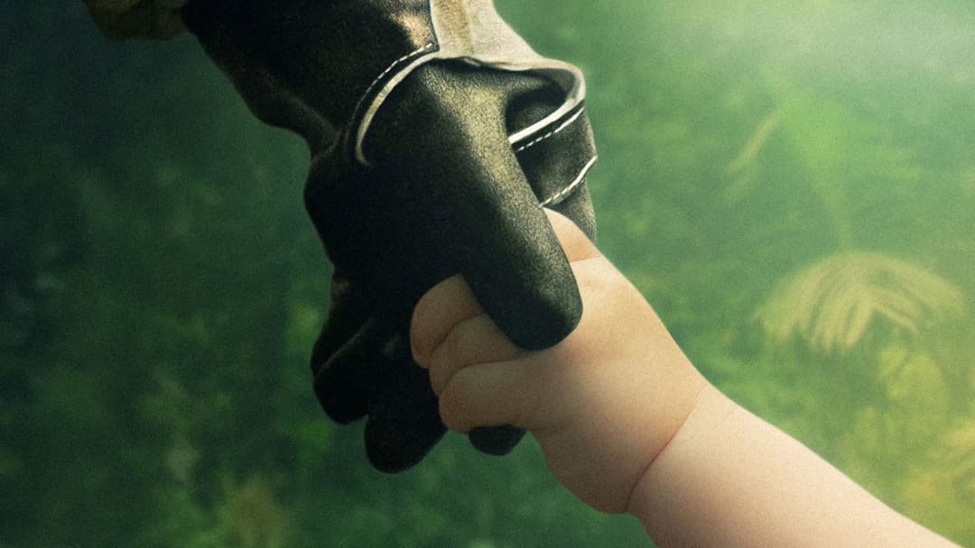 High Life backdrop 8