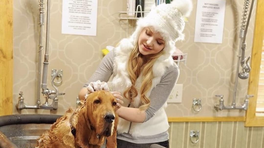 Halfpipe Feeling backdrop 5