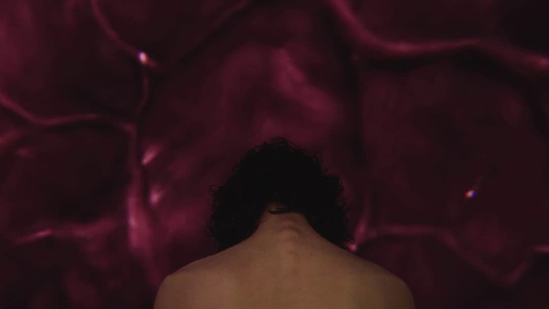 Teenage Sex and Death at Camp Miasma backdrop 12