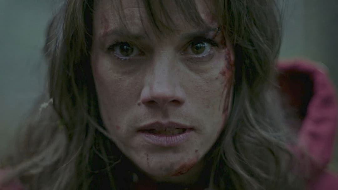 Out Come the Wolves - Wir sind die Beute backdrop 4