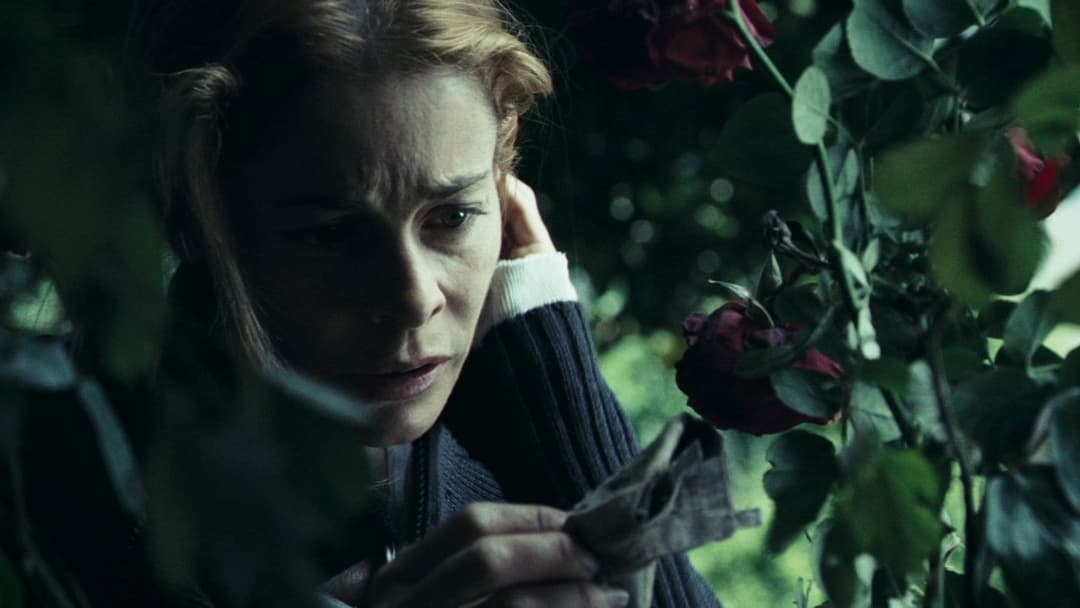 Das Waisenhaus backdrop 5