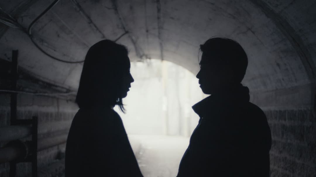 Слон сидить спокійно backdrop 8