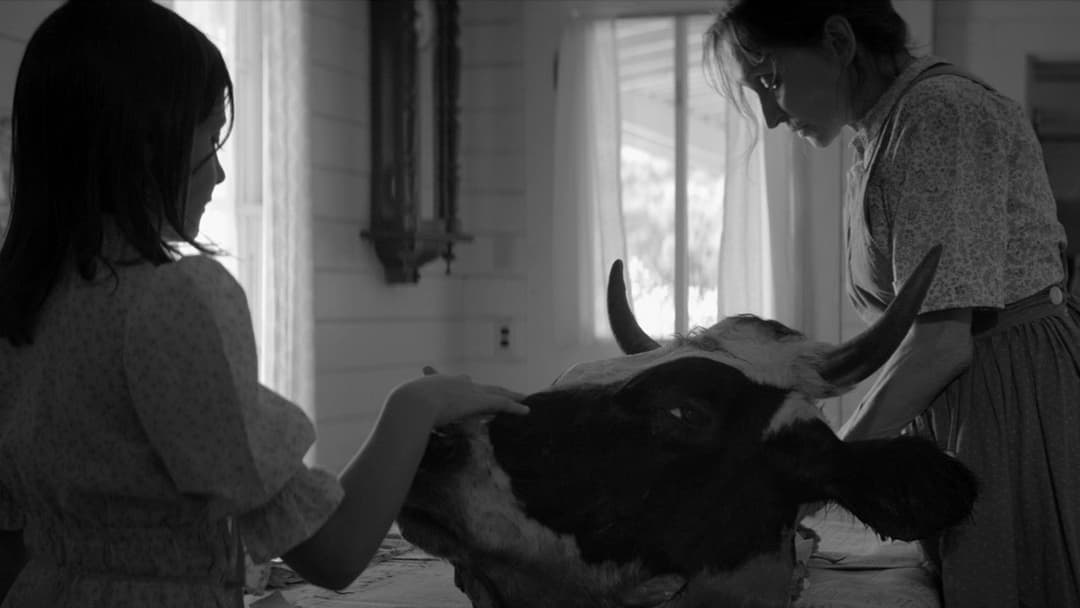 The Eyes of My Mother backdrop 8