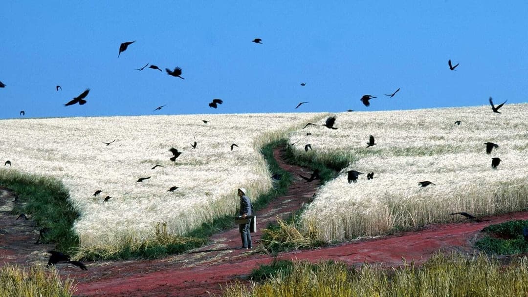 Akira Kurosawas Träume backdrop 3