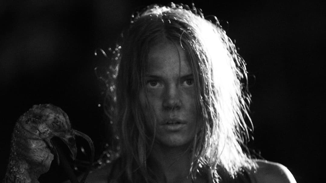 November backdrop 10