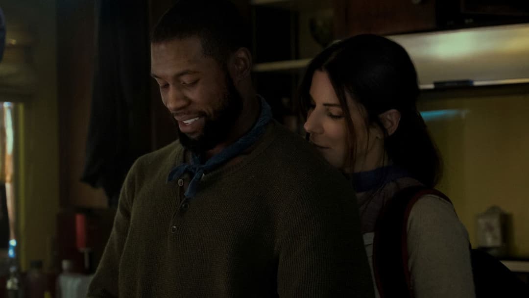 Пташиний короб backdrop 13