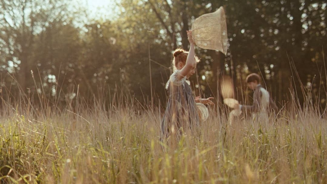 Bright Star backdrop 19