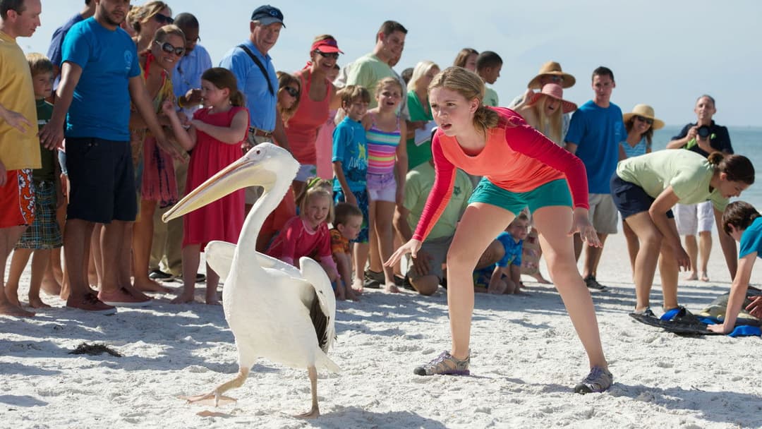 Історія дельфіна 2 backdrop 7