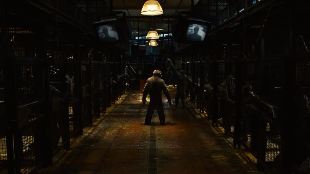 Planet der Affen - Prevolution backdrop 20