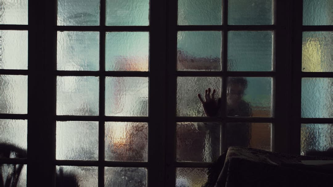 كولونيا backdrop 8