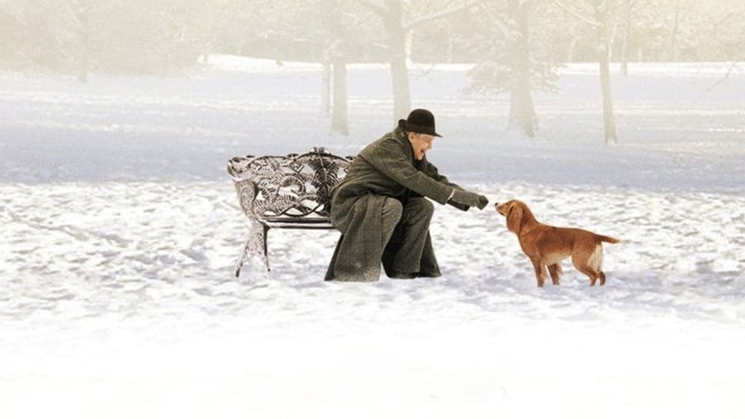 Dean Spanley backdrop 3