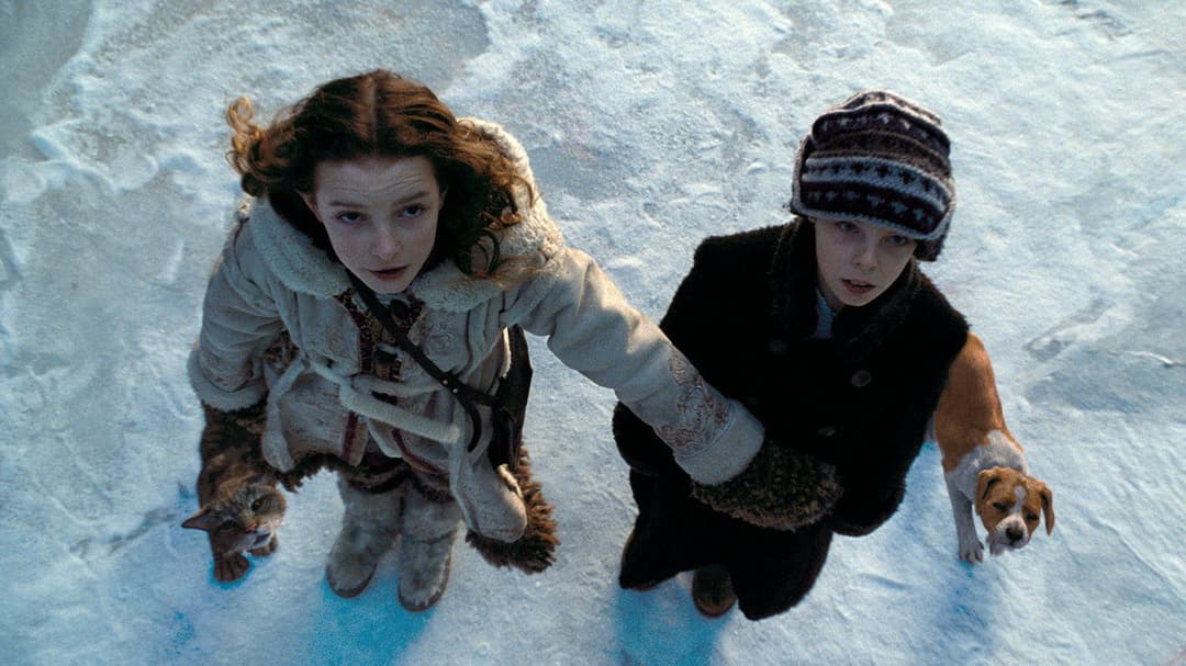 Золотий компас backdrop 8