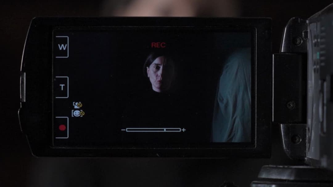 Les Graines du figuier sauvage backdrop 17