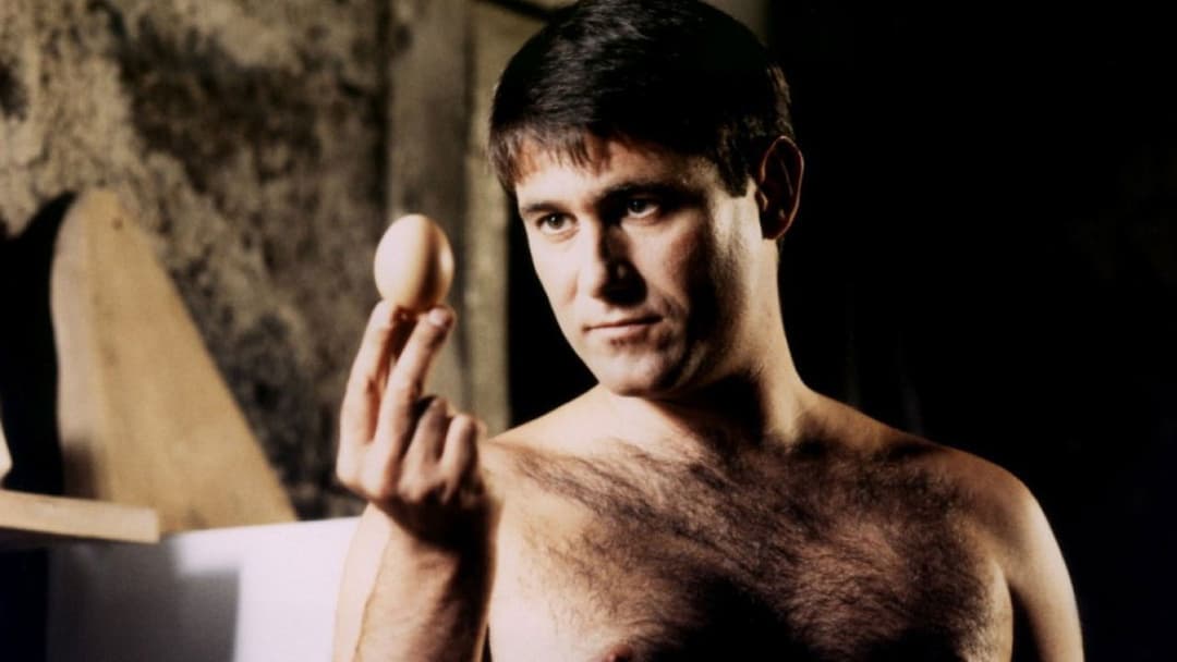 Гаррі — друг, який бажає вам добра backdrop 4