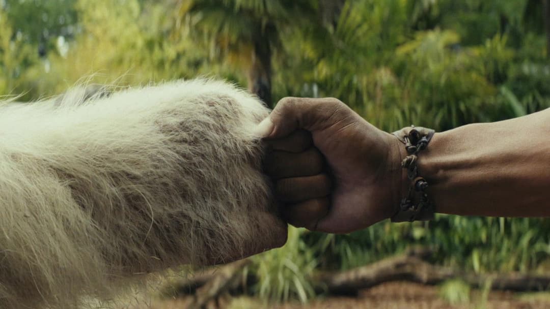 Rampage - Big meets Bigger backdrop 7