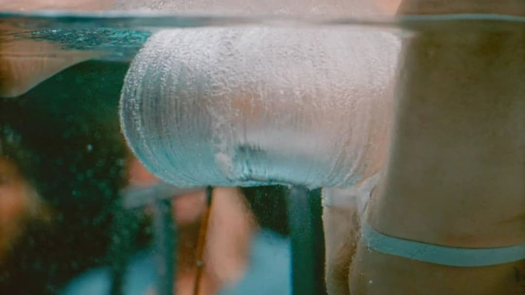 Диваки форева backdrop 15