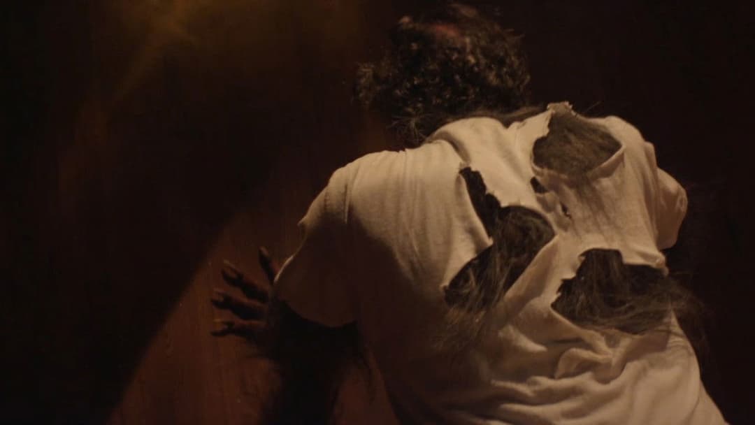 Late Phases backdrop 3