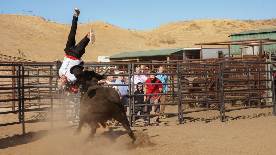 Диваки форева backdrop 4